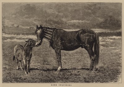 Kind Inquiries by Alfred Chantrey Corbould
